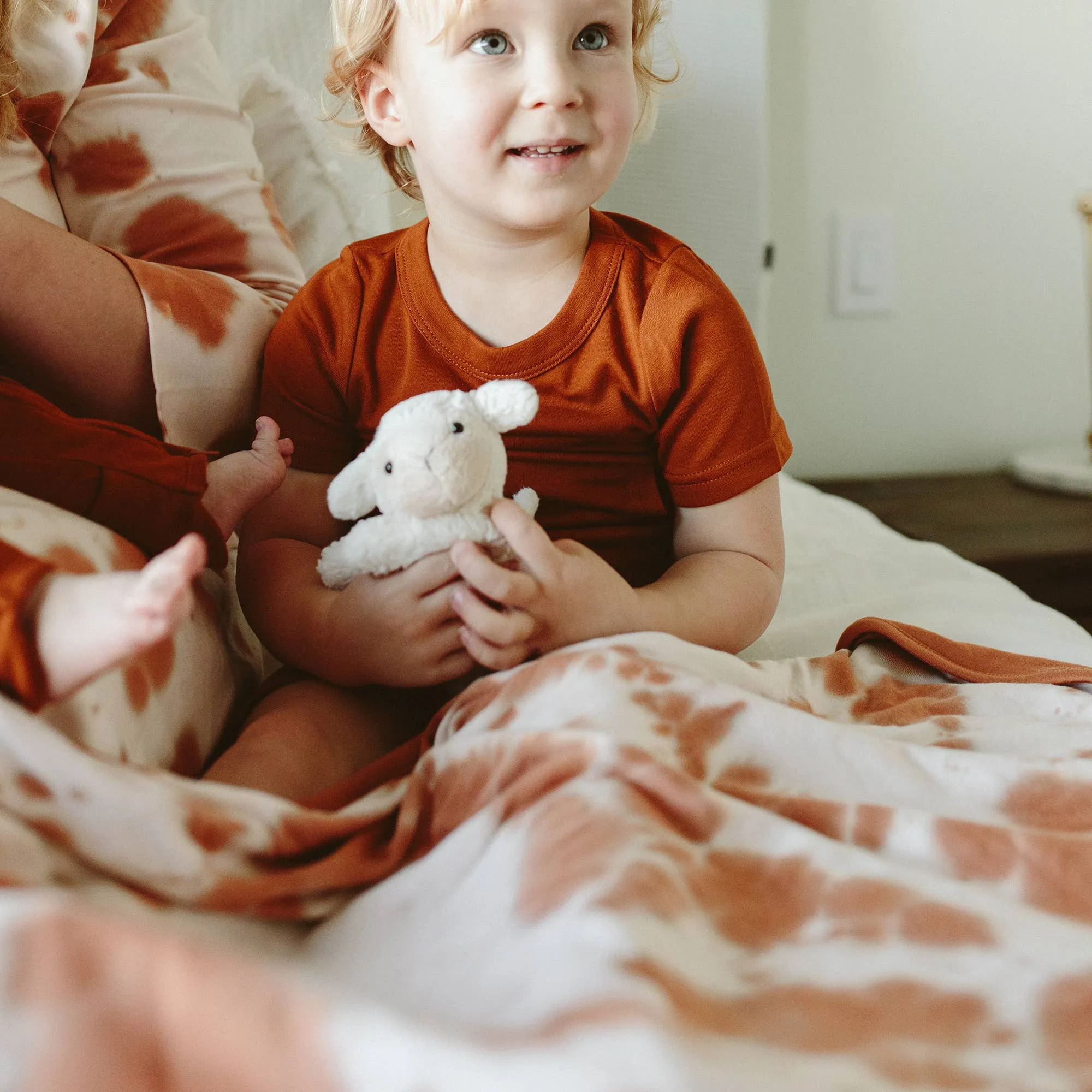 Viscose Organic Cotton Cozy Blanket - Red Rocks